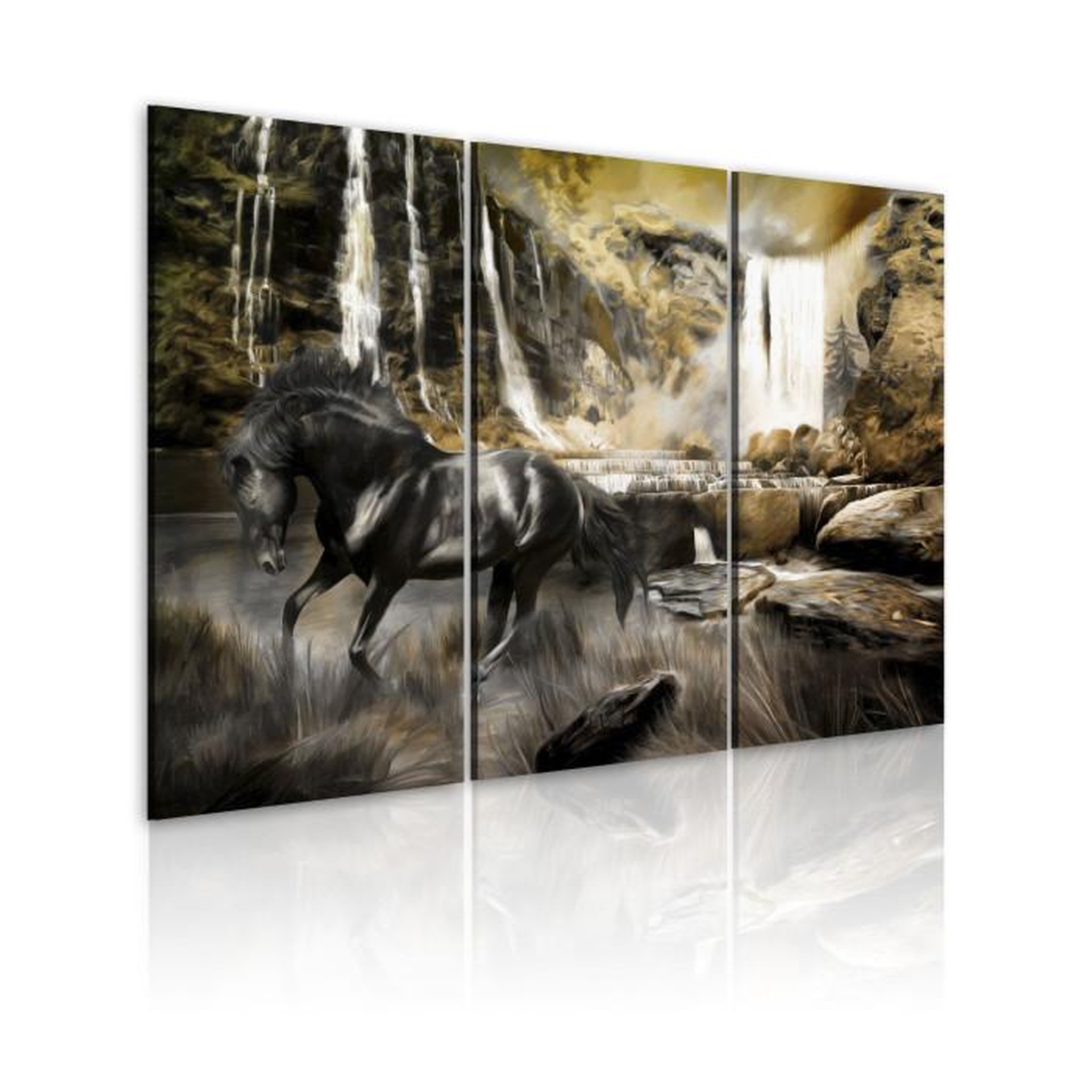 Paris Prix Tableau Imprimé  Cheval Noir & Cascade Rocheuse. Coloris disponibles : Multicolore