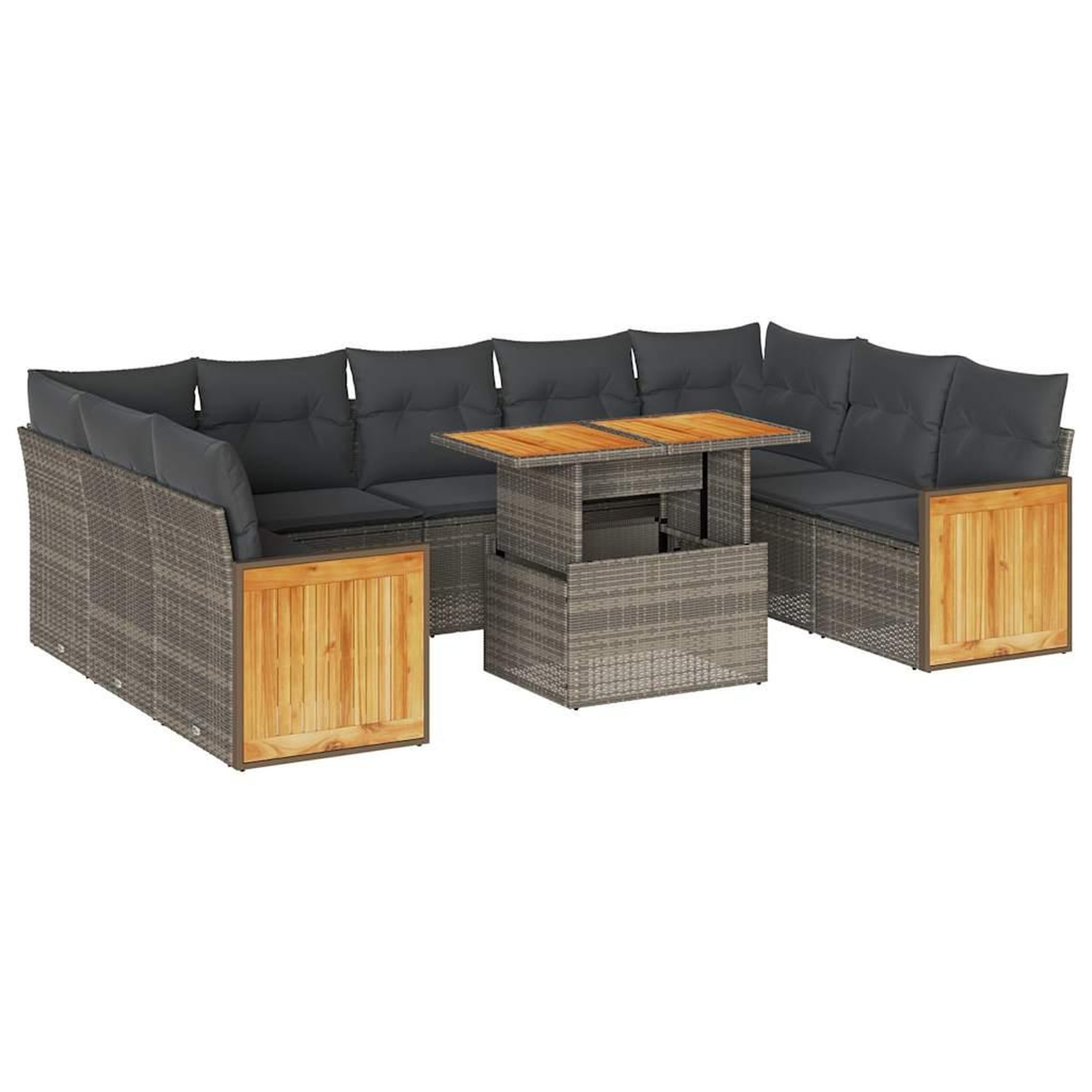 Voir la diapositive 2 : VIDAXL Salon de jardin avec coussins 10 pcs gris resine tressee acacia