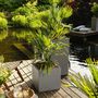 Voir la diapositive 1 : LECHUZA LECHUZA Jardiniere CANTO Stone 40 LED High ALL-IN-ONE 40x40 cm