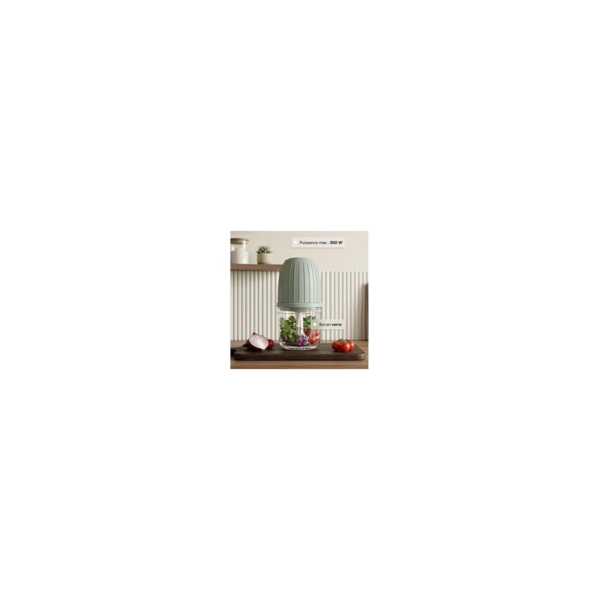 Voir la diapositive 3 : Terraillon Hachoir Terraillon Bistria Vert Sauge