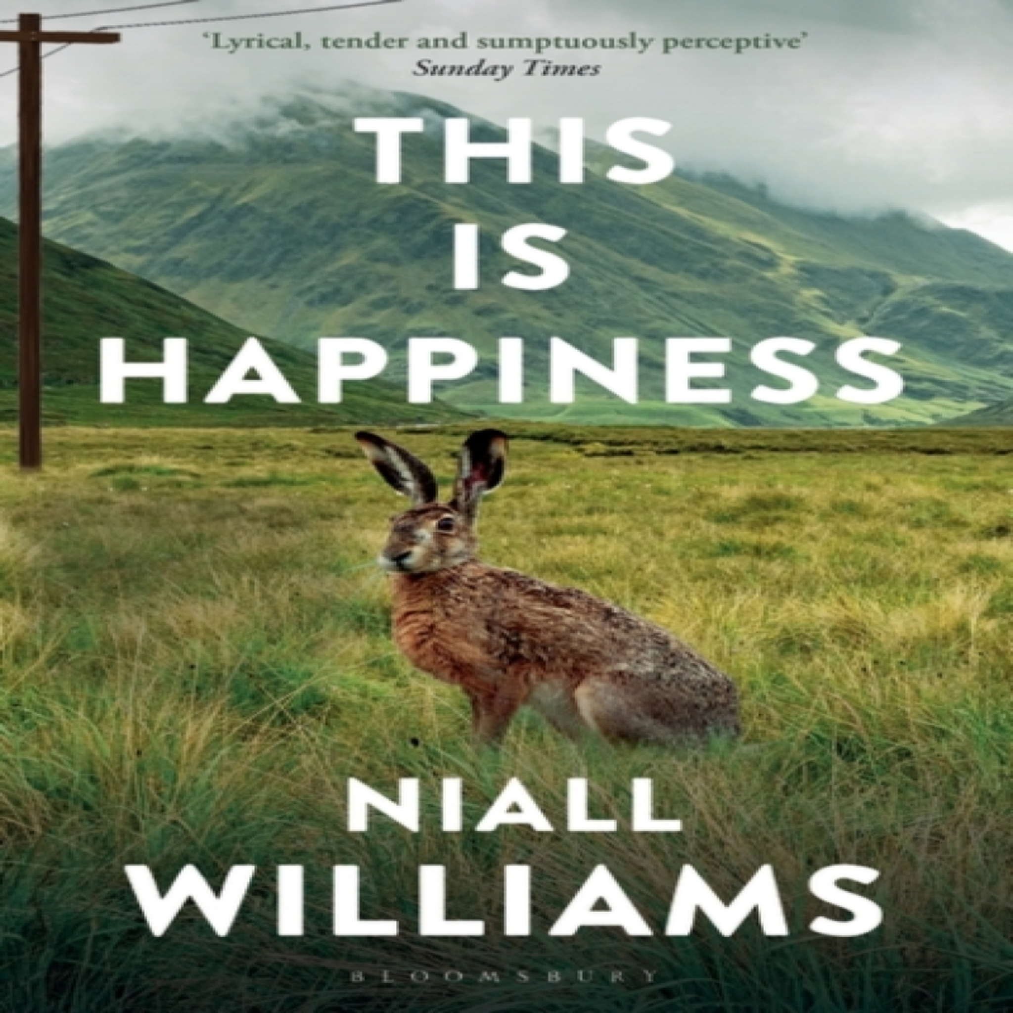 LIVRES This Is Happiness : By the author of Four Letters of Love, now a major film starring Helena Bonham Carter and Pierce Brosnan