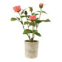 Voir la diapositive 1 : Paris Prix Plante Artificielle en Pot  Rosier  39cm Rose