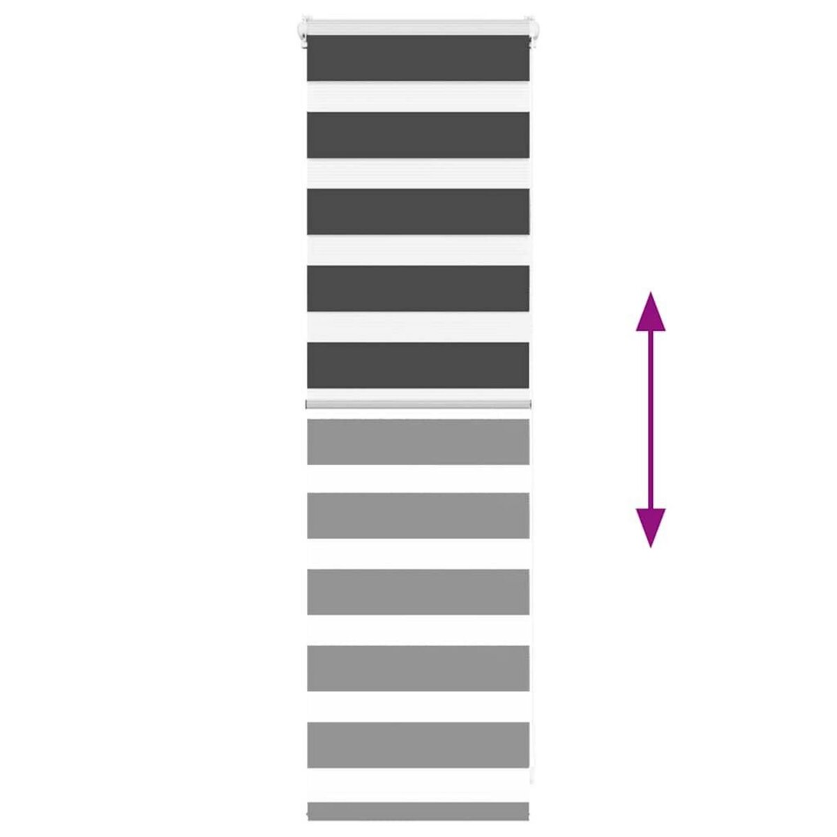 VIDAXL Store zebre noir 55x100 cm largeur du tissu 50,9 cm polyester