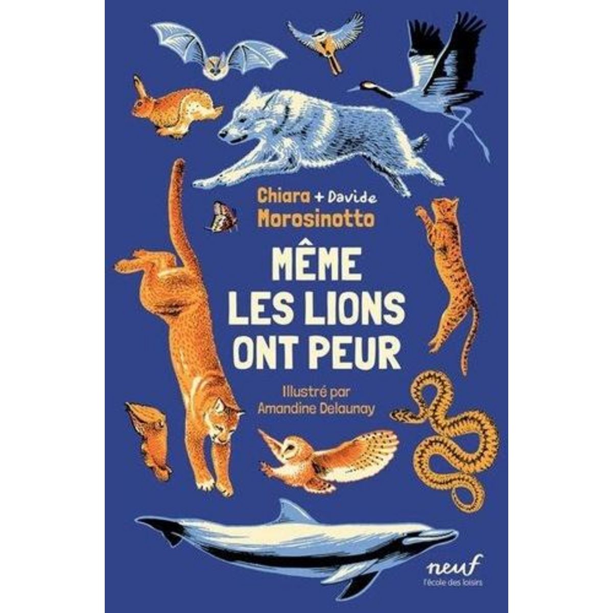 MEME LES LIONS ONT PEUR, Morosinotto Chiara