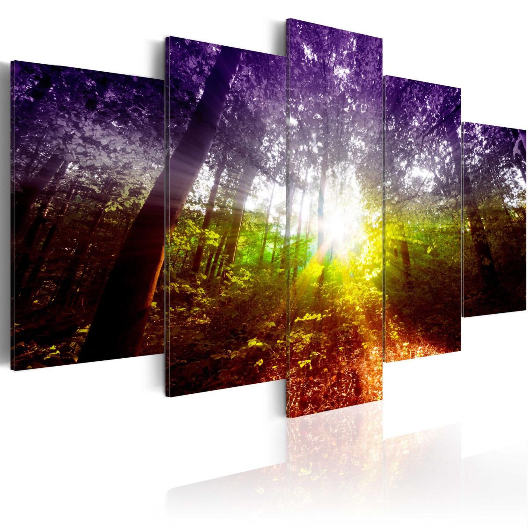 Voir la diapositive 1 : Paris Prix Tableau Imprimé  Rainbow Forest