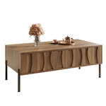 MERAX Table basse rectangulaire naturel avec 2 tiroirs - 55x105 cm mdf