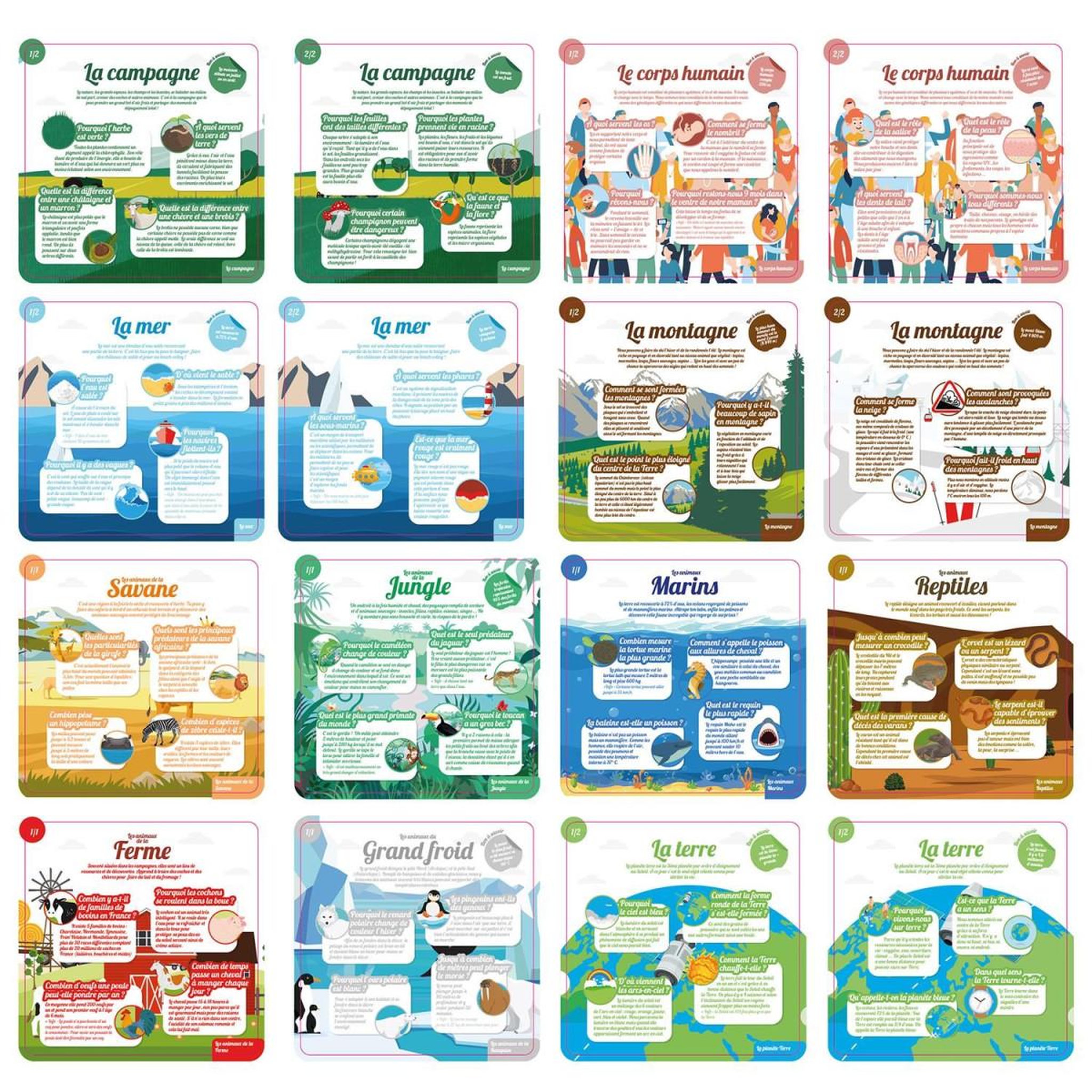 Voir la diapositive 2 : Jeux 2 momes Jeu des pourquoi  16 cartes  16cm multicolore
