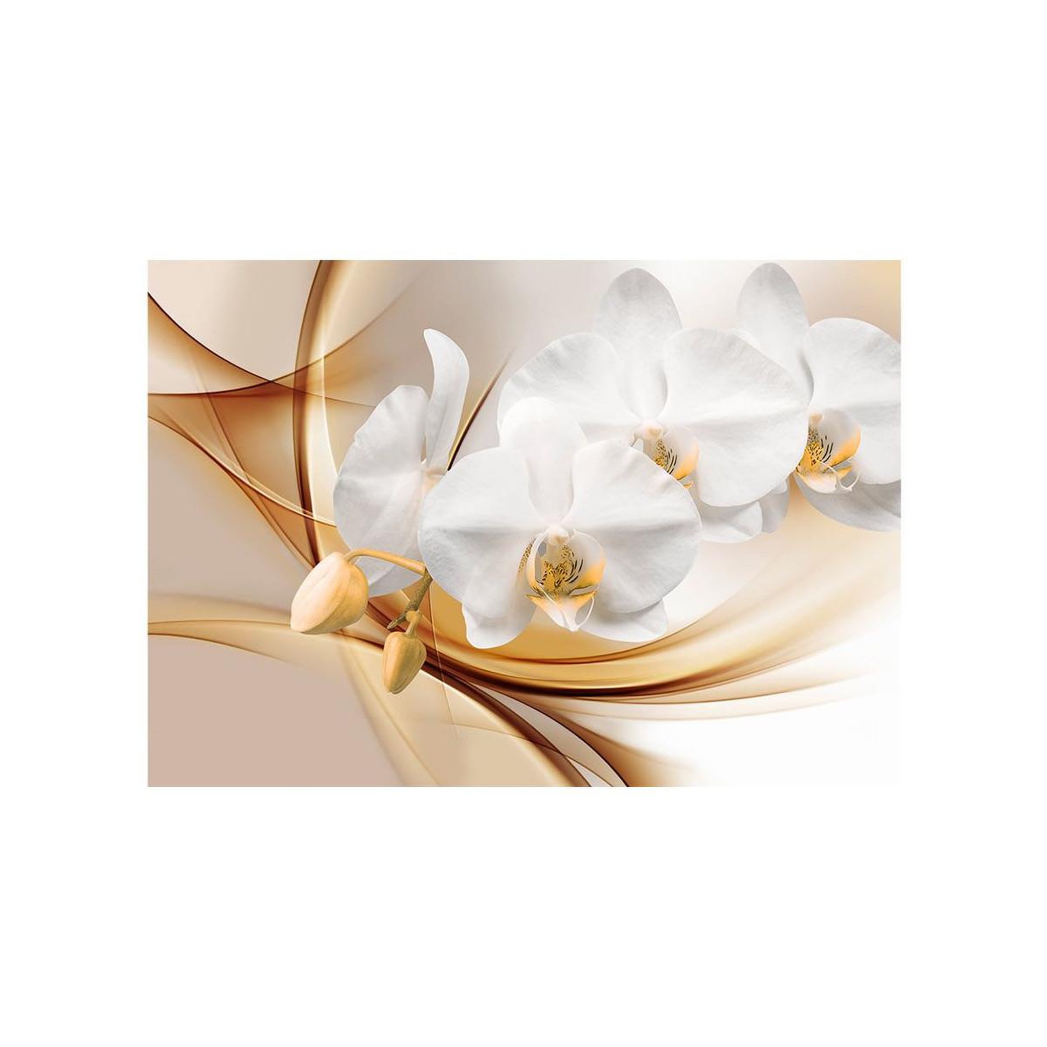 Voir la diapositive 2 : Paris Prix Papier peint  orchid blossom