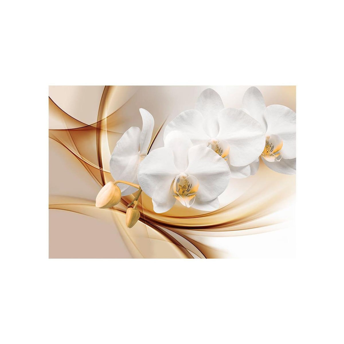 Paris Prix Papier Peint  Orchid Blossom