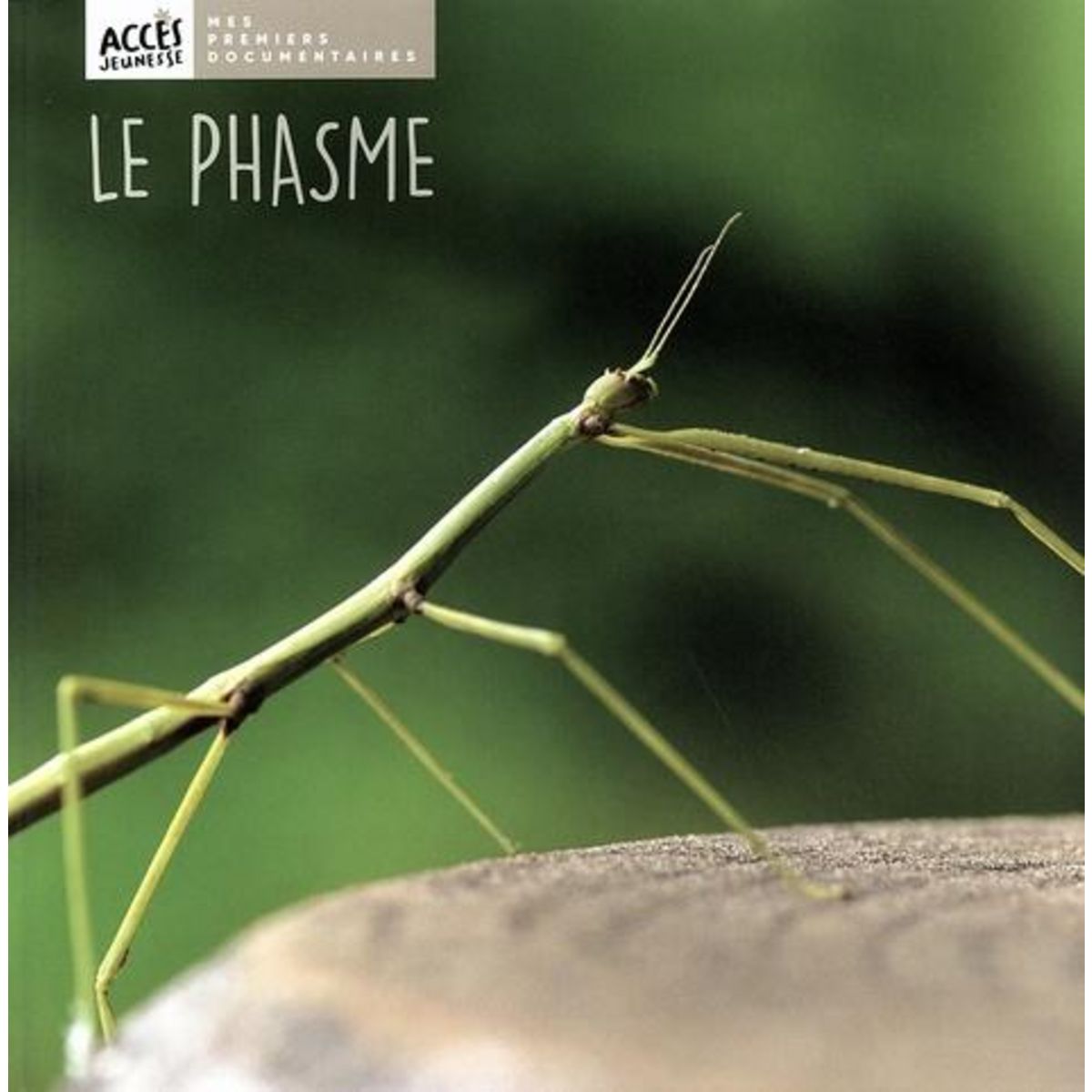 LE PHASME, Schneider Léa