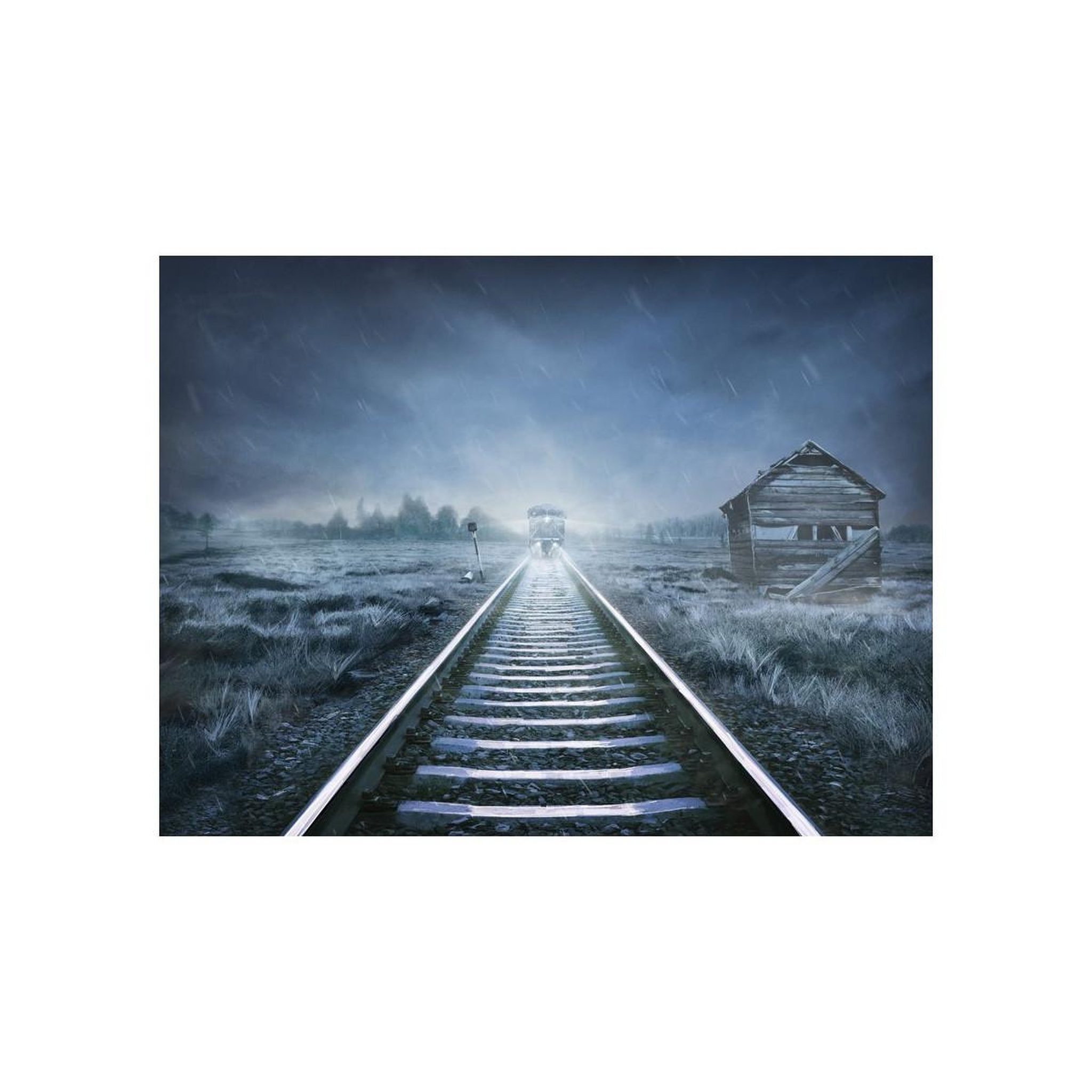 Voir la diapositive 2 : Paris Prix Papier peint  le train fantôme
