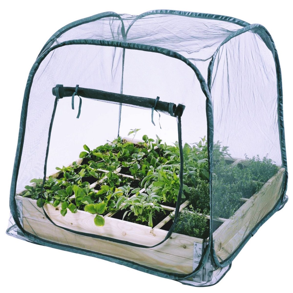 NATURE Serre de jardin pour carré potager - Pop-up