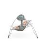 Voir la diapositive 2 : Ingenuity Balancelle compacte Fancifull Forest 