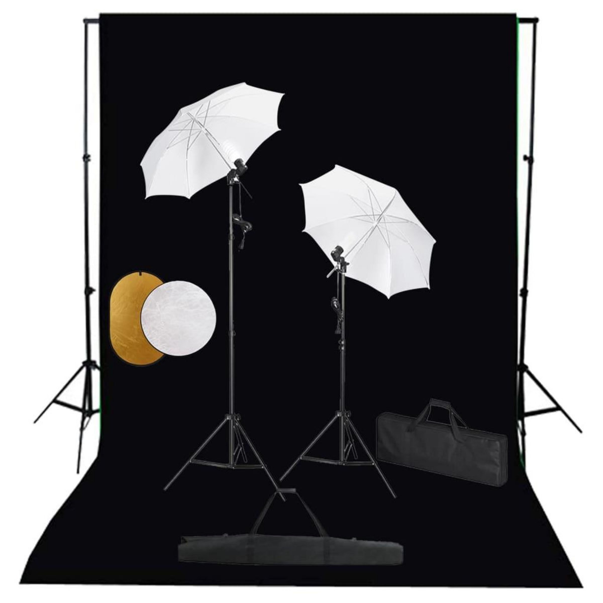 VIDAXL Kit de studio photo avec lampes toile de fond et reflecteur