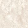 Voir la diapositive 1 : DUTCH WALLCOVERINGS DUTCH WALLCOVERINGS Papier peint Beige beton TP1011
