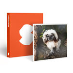 Smartbox Tanière Zoo Refuge : immersion avec les herbivores pour 2 personnes - Coffret Cadeau Multi-thèmes