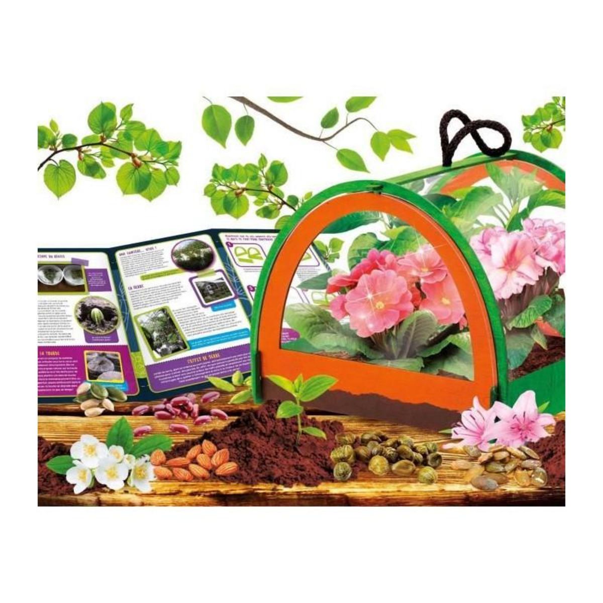 LISCIANI GIOCHI Découverte de la botanique - Kit Scientifique - I'M A GENIUS POCKET - Serre miniature, Expériences botaniques