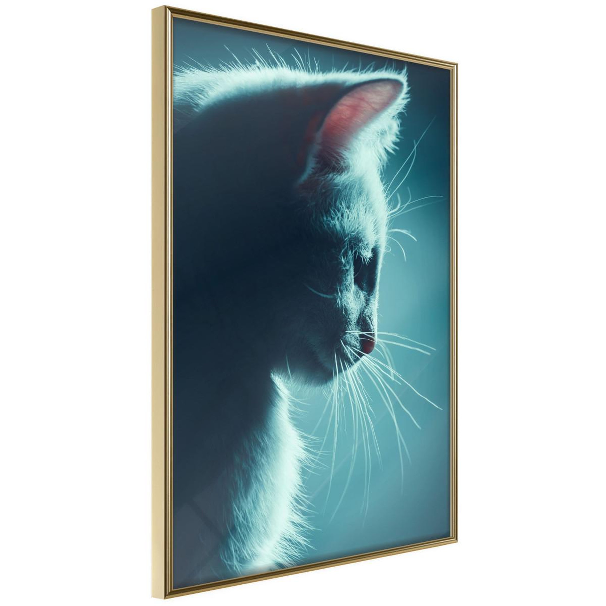 Voir la diapositive 1 : Paris Prix Affiche murale encadrée  adorable furball