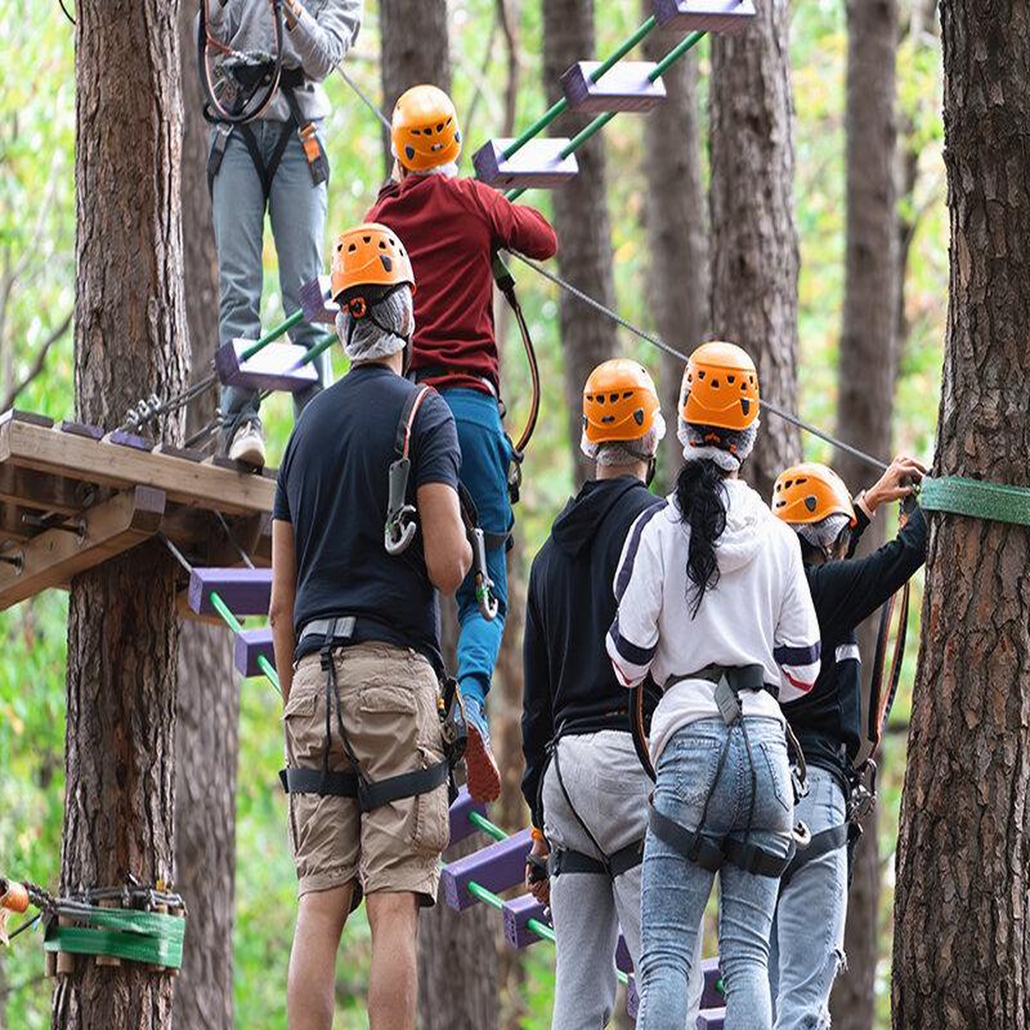 Voir la diapositive 2 : Smartbox Aventure dans les arbres : ponts & ziplines pour tous - coffret cadeau sport & aventure