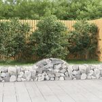 VIDAXL Paniers a gabions arques 8 pcs 200x30x40/60 cm Fer galvanise