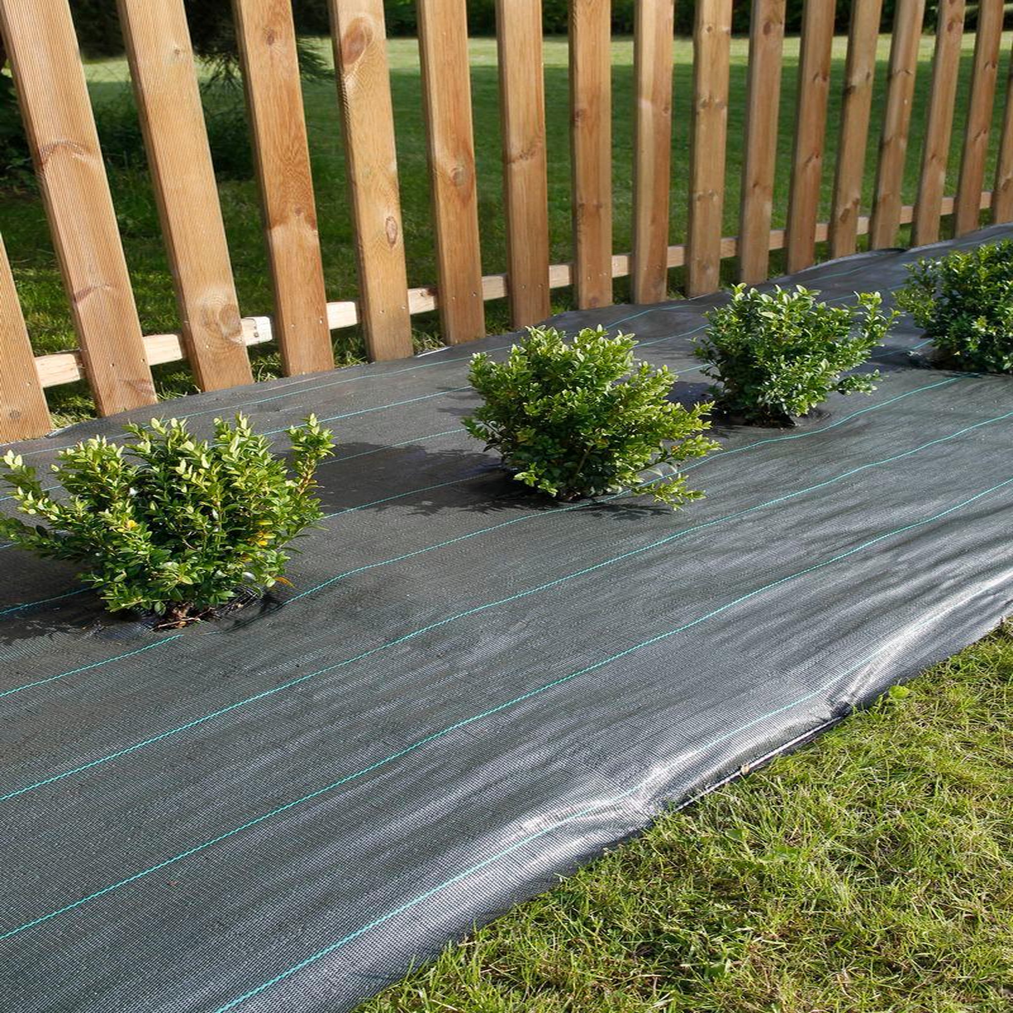 Nortene Toile de paillage tissée  Weedsol  1,25 x 25 m - Vert