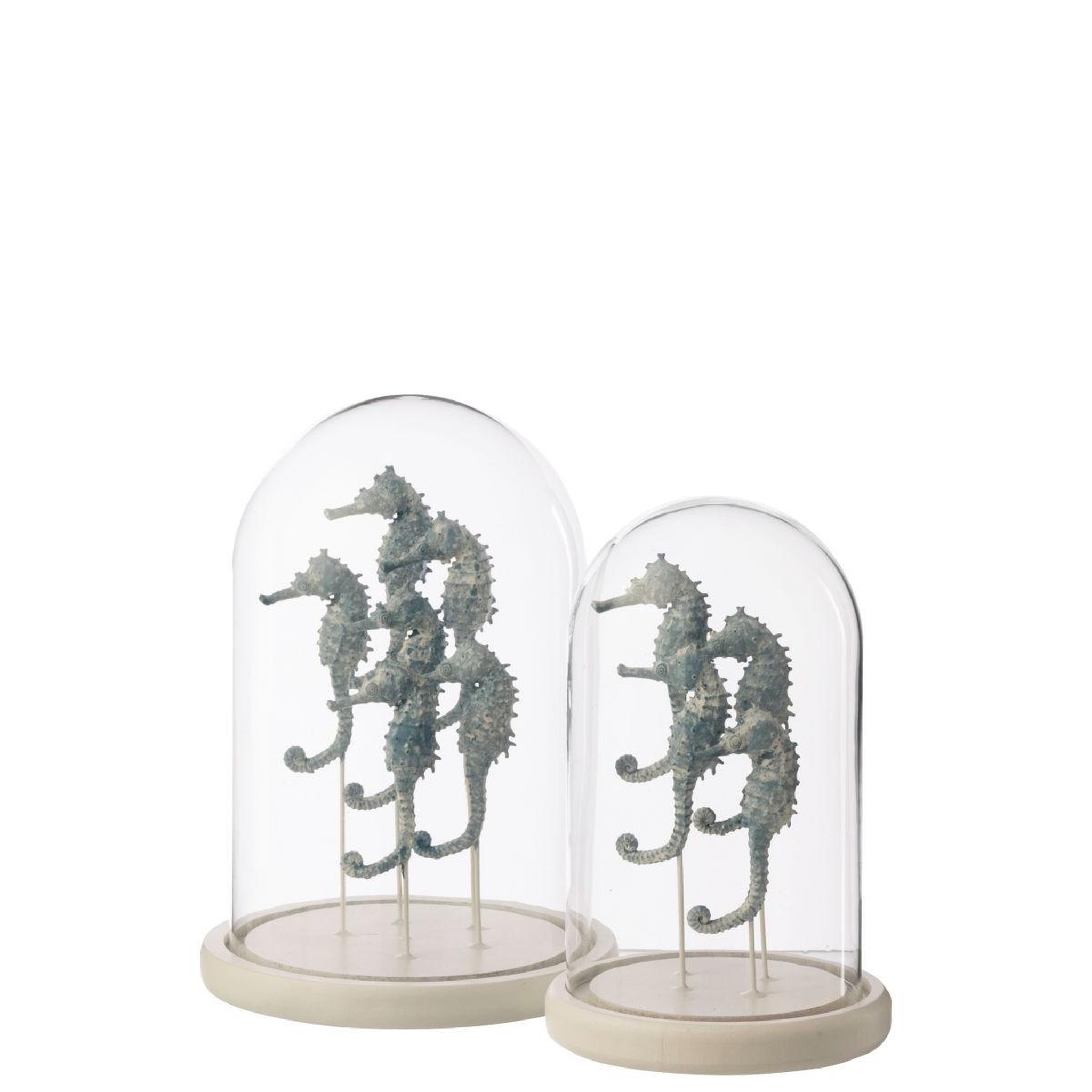 Voir la diapositive 2 : J-LINE Cloche déco en verre  hippocampe  22cm bleu