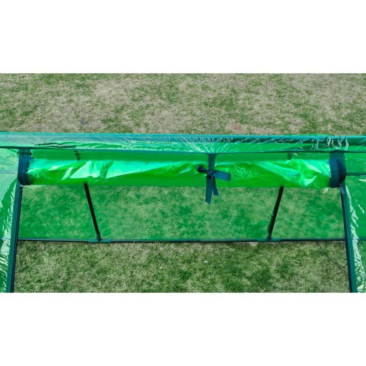 VIDAXL Serre avec 3 portes