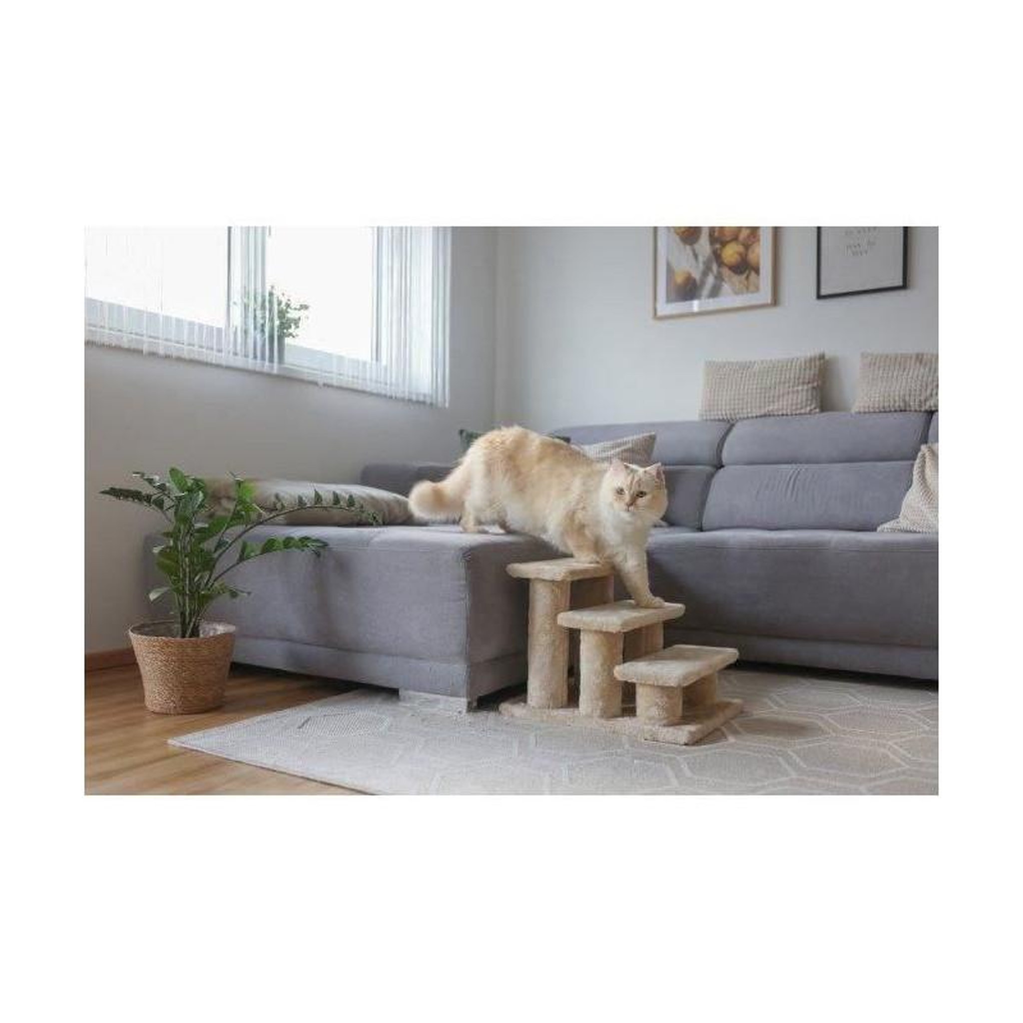 Voir la diapositive 2 : KERBL Escalier pour animaux - KERBL - Easy Climb 2.0 - 45 x 35 x 34 cm - Jusqu'a 50 kg