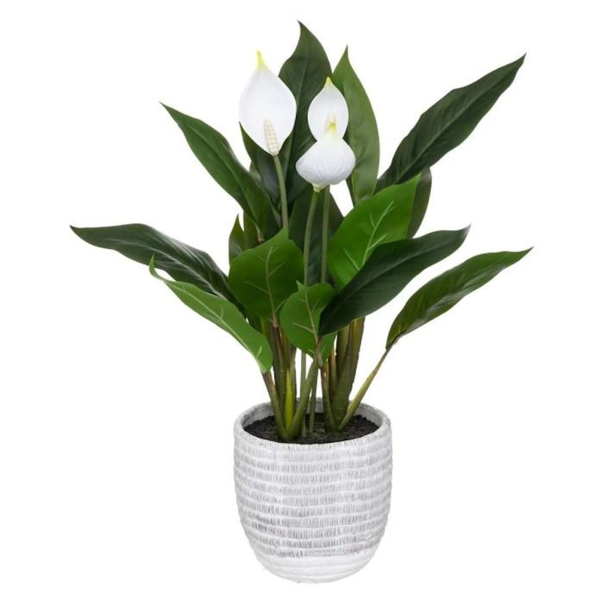 ATMOSPHERA Plante Artificielle  Lys de la Paix  54cm Vert & Blanc