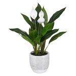 ATMOSPHERA Plante Artificielle  Lys de la Paix  54cm Vert & Blanc