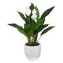 Voir la diapositive 1 : ATMOSPHERA Plante Artificielle  Lys de la Paix  54cm Vert & Blanc
