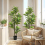 Voir la diapositive 4 : HOMCOM Ficus Lutea artificiels 1,50H m - lot de 2 ficus artificiels - 120 feuilles réalistes par pied - pot inclus noir vert