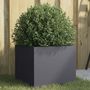 Voir la diapositive 1 : VIDAXL Jardiniere anthracite 32x30x29 cm acier