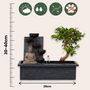 Voir la diapositive 2 : PLANT IN A BOX Bonsaï - Bonsai - Hauteur 25-35cm - ⌀29cm