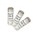 CENTRALE BRICO Lot de 3 fusibles céramique 25 A, 10.3 x 31.5 mm