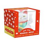 MON MINI MANEKI-NEKO. AVEC 1 MANEKI-NEKO PORTE-BONHEUR, 1 JOLIE ILLUSTRATION ET 1 MESSAGE SECRET, Hachette