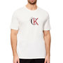 Voir la diapositive 1 : CALVIN KLEIN JEANS T Shirt  Homme Calvin Klein Jeans  V14RE829G