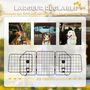 Voir la diapositive 5 : PAWHUT Grille de séparation voiture pour chien pliable réglable 93-150L cm universelle pour appui-tête noir