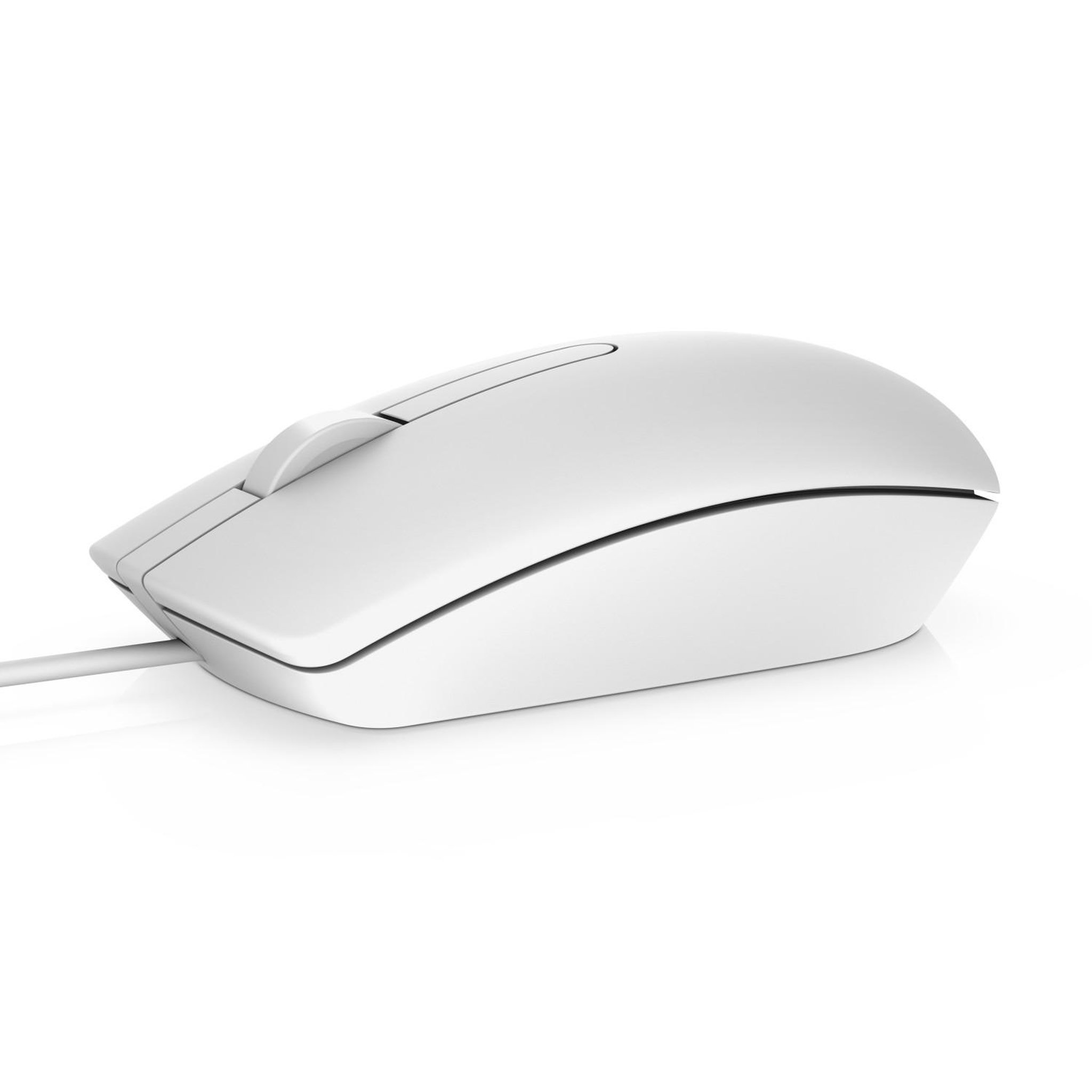 Dell Dell ms116 souris ambidextre usb type-a optique 1000 dpi