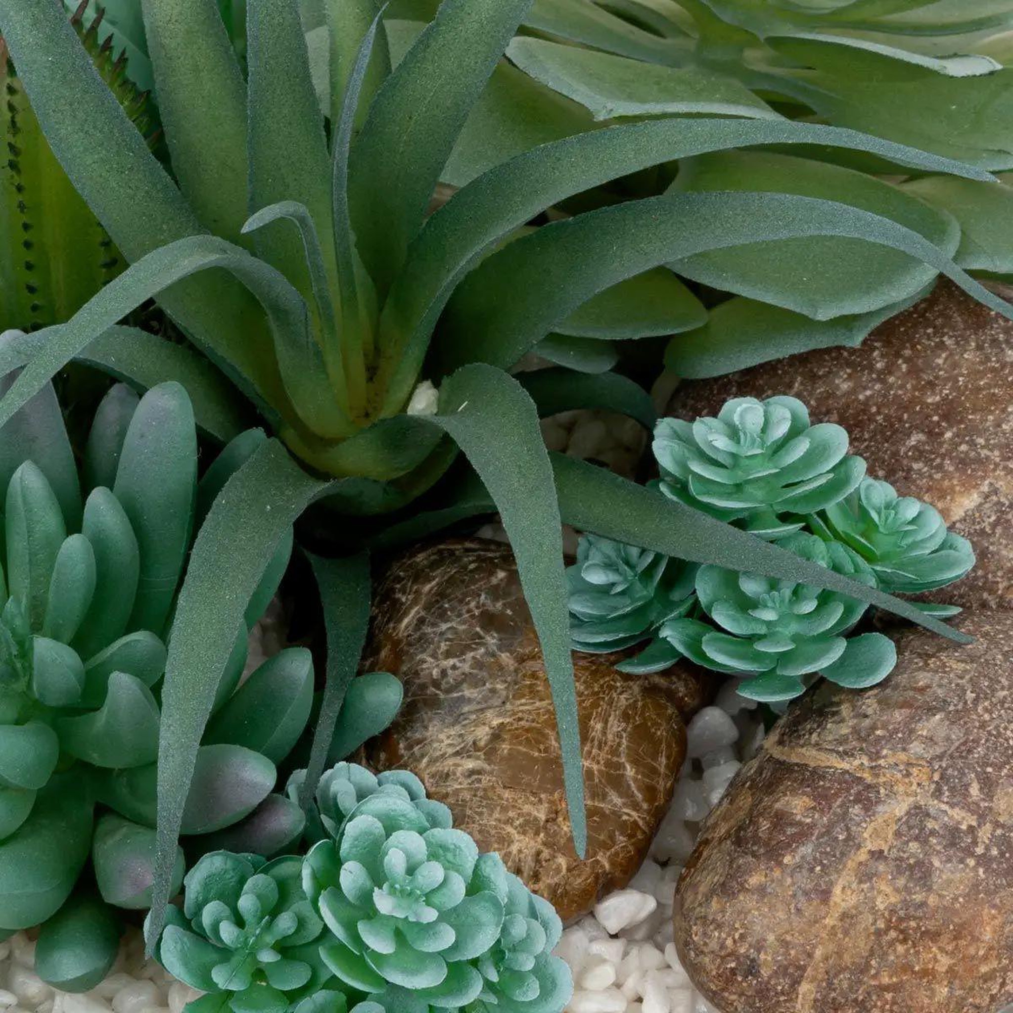 Voir la diapositive 3 : ATMOSPHERA Composition de plantes artificielles  soleya  20cm blanc