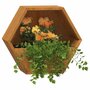 Voir la diapositive 3 : VIDAXL Jardinieres murales 2 pcs Rouille Acier corten 30x10x25 cm