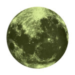 Paris Prix Sticker Mural Phosphorescent  Lune  25cm Vert