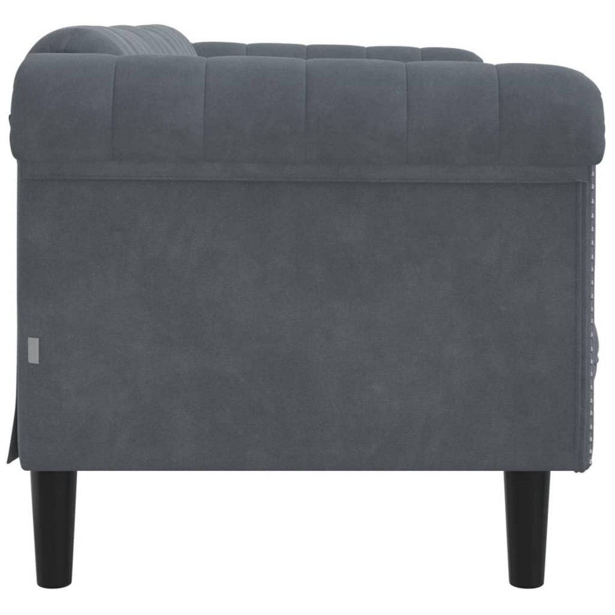 VIDAXL Canape a 2 places gris fonce velours