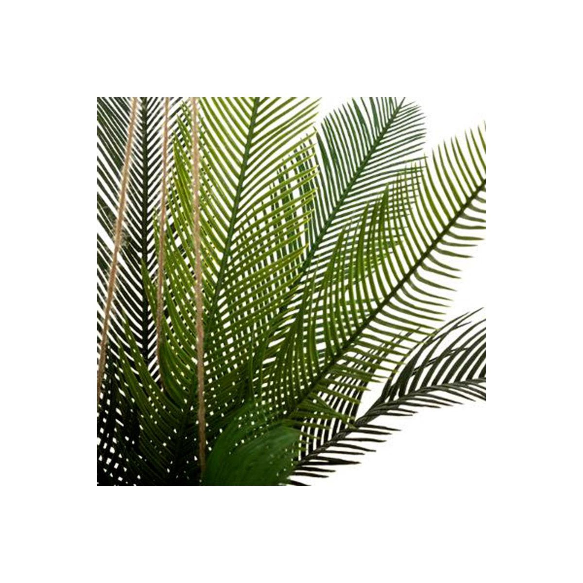 Voir la diapositive 3 : ATMOSPHERA Plante artificielle palmier  cuba  55cm vert
