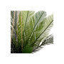 Voir la diapositive 3 : ATMOSPHERA Plante Artificielle Palmier  Cuba  55cm Vert