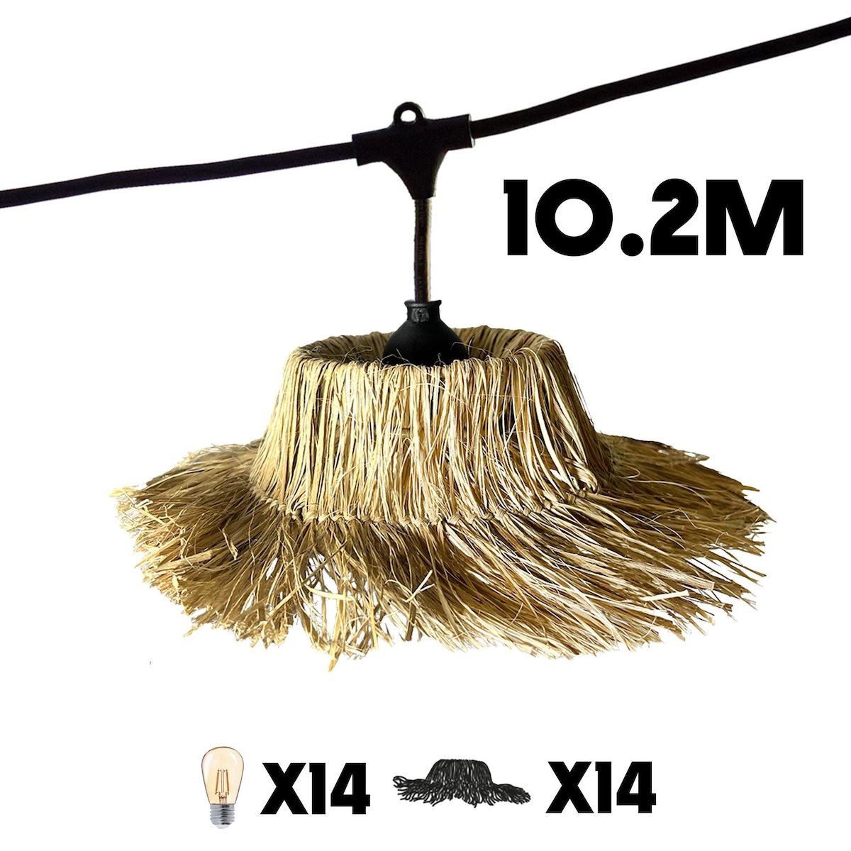 Lumisky Lot de 2 guirlandes TAHITI Beige Paille 6M