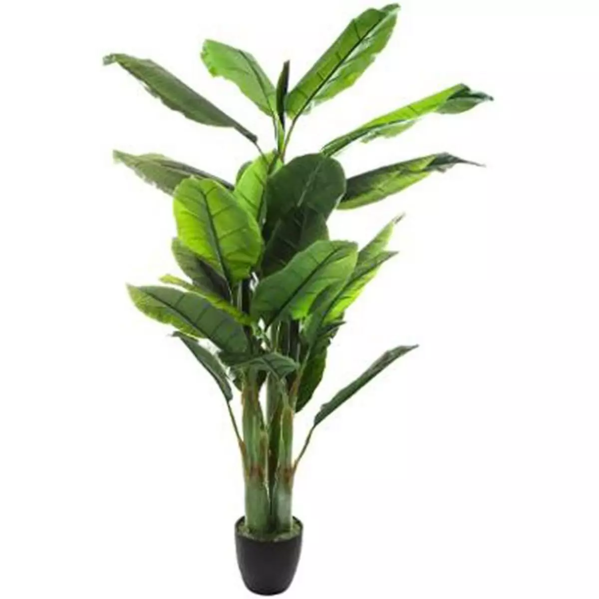 ATMOSPHERA Plante Artificielle  Bananier  170cm Vert