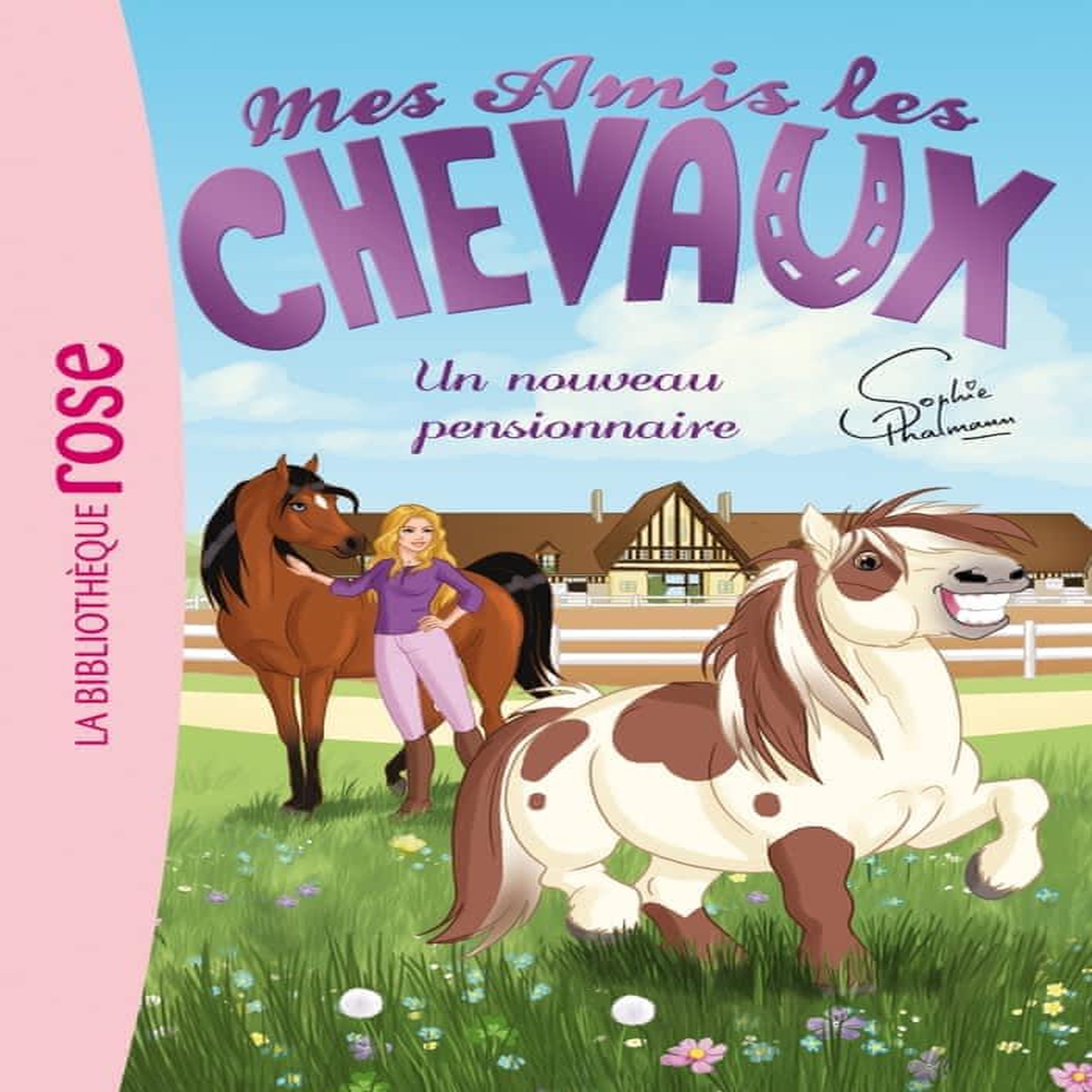 MES AMIS LES CHEVAUX TOME 1 : UN NOUVEAU PENSIONNAIRE, Godeau Natacha