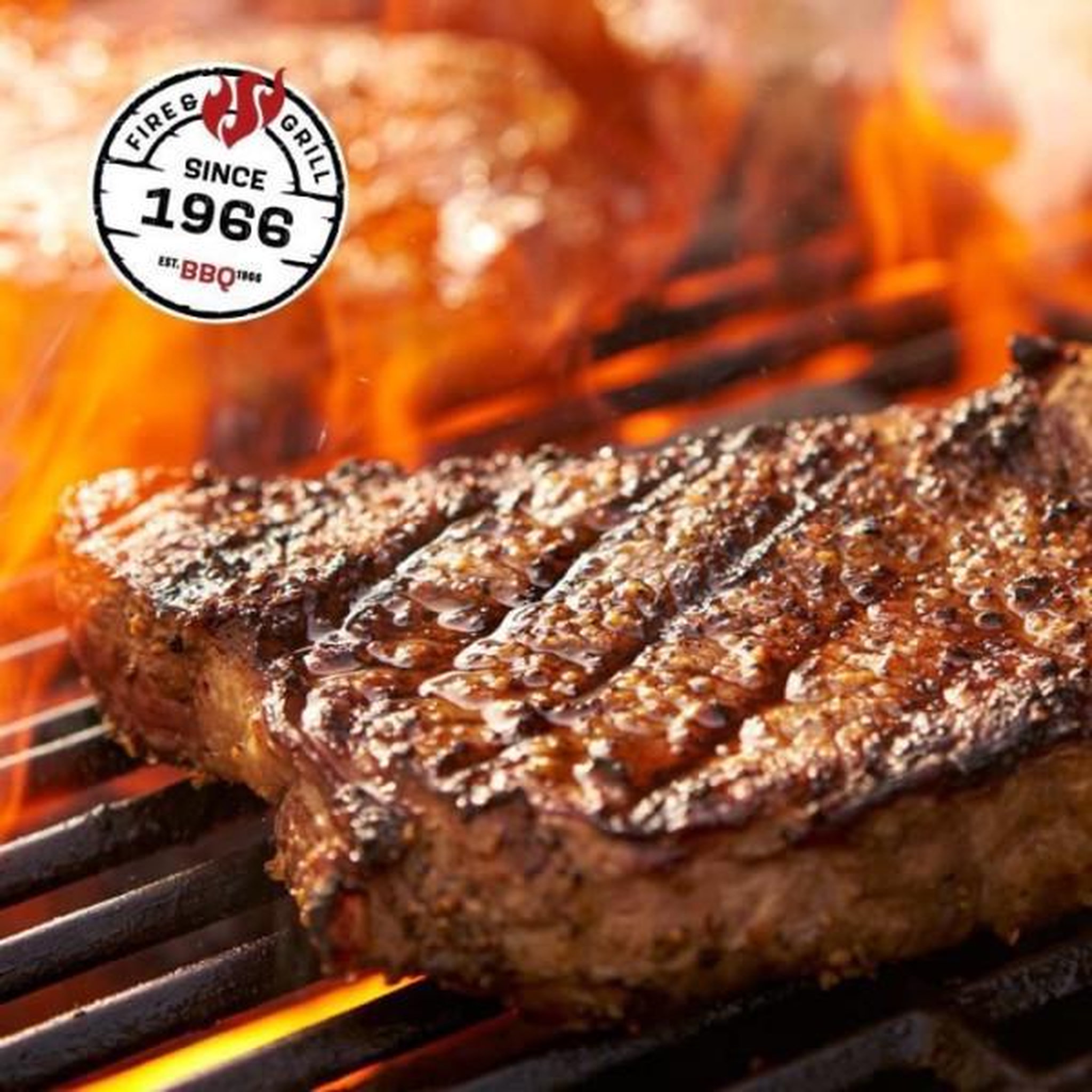 Voir la diapositive 5 : AAAAA Landmann Triton PTS Maxx 4.1 gaz to coal barbecue gaz 4 feux + 1 brûleur latéral