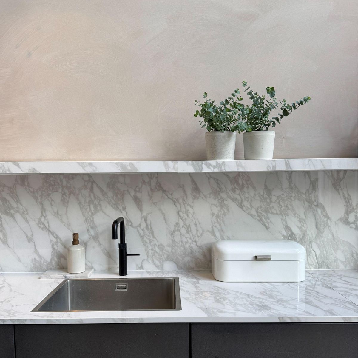 PLANT IN A BOX Gommier - Set de 2 - Eucalyptus 'Pulverulenta' - Hauteur 25-40cm - ⌀13cm